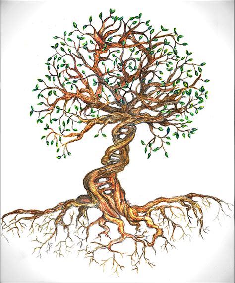 Jul 31, 2021 · easily clip, save and share what you find with family and friends. Dna Tree Of Life Duvet Cover for Sale by Joanna Aud