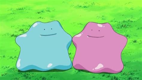 Youll Encounter Shiny Ditto At The End Of The Pokémon Go Tour Kanto