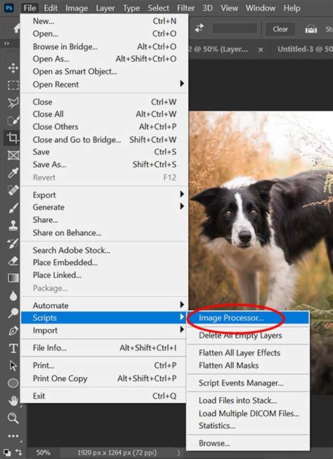 How To Batch Resize Images In Photoshop Step By Step