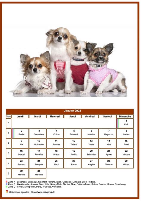 January 2024 Dog Calendar 2024 Calendar Printable