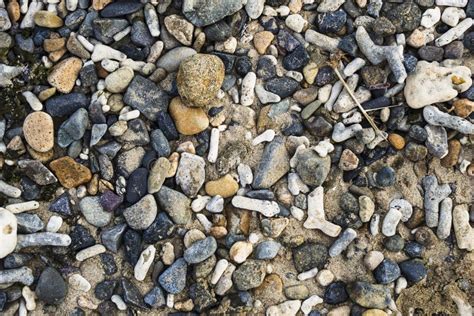 Multi Colored Colorful Sea Pebbles Natural Background Texture Close