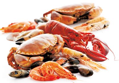 Farmers markets are an important part of any community. Seafood Baldwin County AL - Gulf Shores Seafood