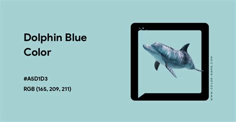 Dolphin Blue Color Hex Code Is A5d1d3