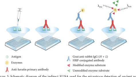 Figure From Development Of An Enzyme Linked Immunosorbent Assay And