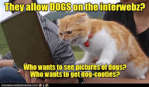 Lolcats - internet - LOL at Funny Cat Memes - Funny cat ... Check out these hilarious black cat memes that prove voids are the best furry friends!