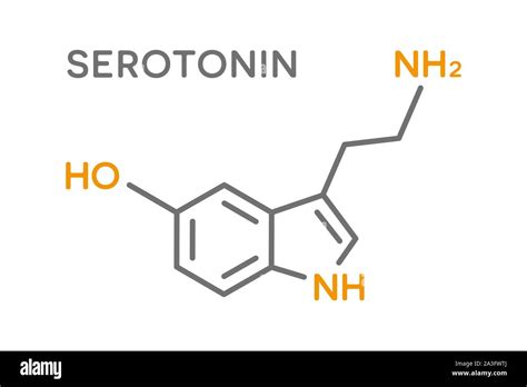 La Hormona Serotonina Fórmula Molecular Símbolo De Las Hormonas Del Cuerpo Humano Imagen Vector