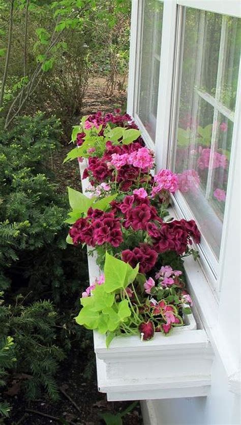 80 Perfect Shade Plants For Windows Boxes Window Box