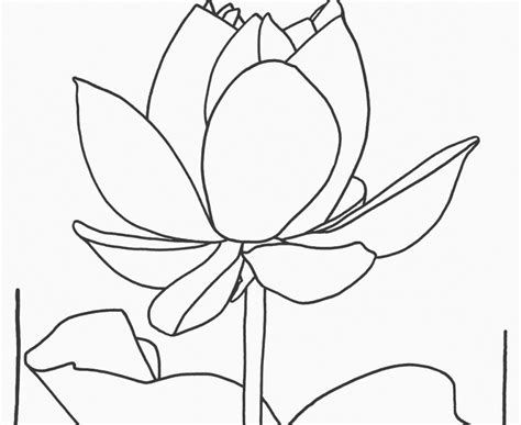 Amazing list of some great ideas to add to your list of 2017 movies to watch. Liger Napoleon Dynamite Coloring Pages