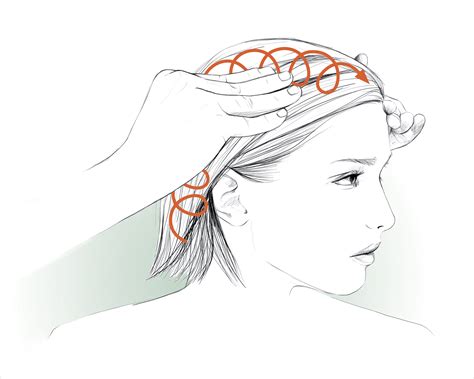 Update More Than 86 Hair Massage Steps Best In Eteachers