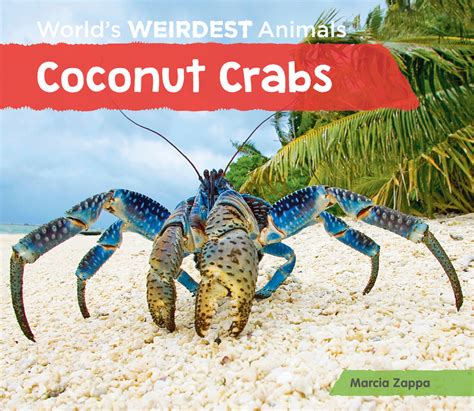 Coconut Crabs - ABDO