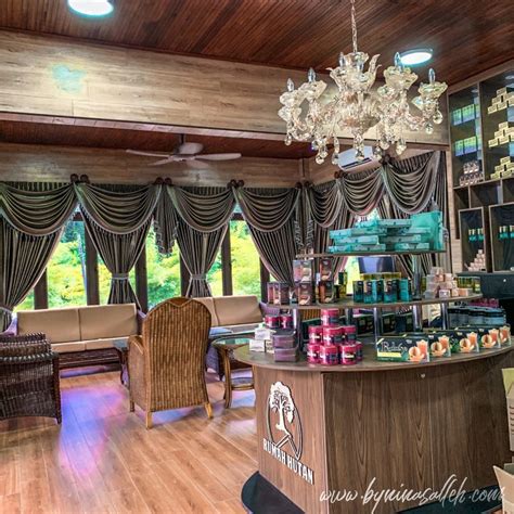 Check spelling or type a new query. REVIEW BERURUT DI RUMAH HUTAN BONDA ROZITA