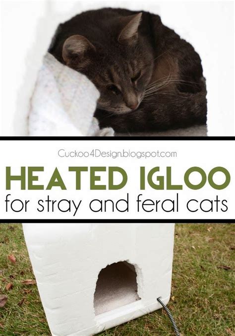 Use A Styrofoam Cooler And Cat Heating Pad To Make A Warm Shelter For