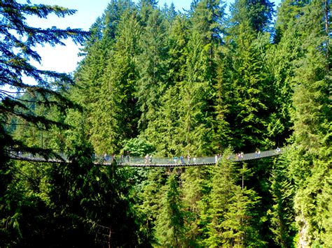 A Visit to Capilano Suspension Bridge Park: Vancouver’s Most Popular