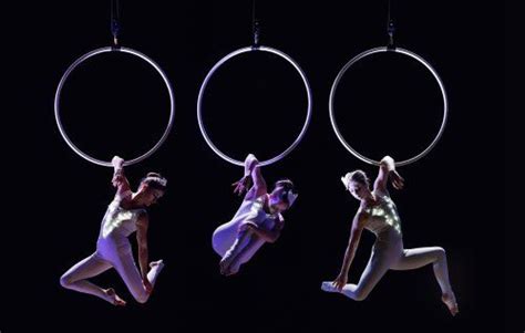 Booking agent for The Gilded Birdcage - Aerial Hoop & Silks Act | Aerial hoop, Aerial, Aerial arts