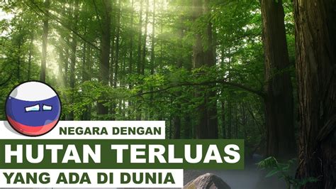 Ini Dia Negara Dengan Hutan Terluas Di Dunia Apakah Indonesia Termasuk