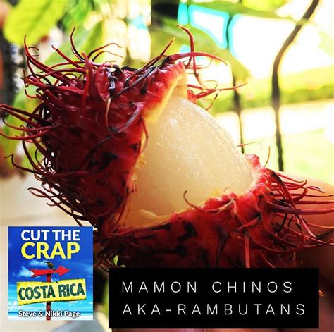 Mamón Chino Rambutan Cut The Crap Kitchen Costa Rica Cooking