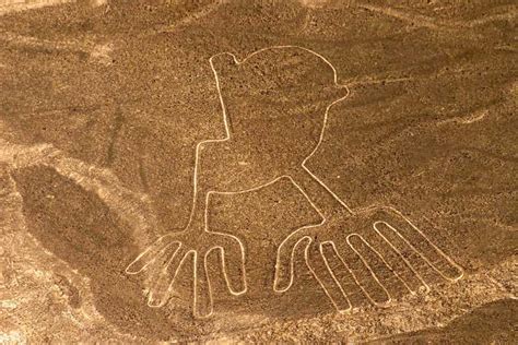 Depuis Nazca vol au dessus des géoglyphes de Nazca GetYourGuide