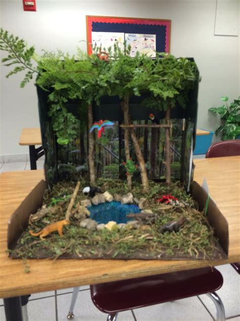 Habitats Projects Ecosystems Projects Rainforest Project