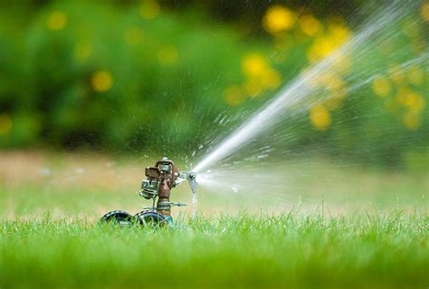 How To Find The Best Lawn Sprinkler For Your Needs Turfandtill