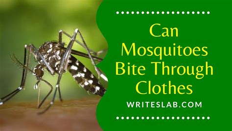 Can Mosquitoes Bite Through Clothes The Writeslab