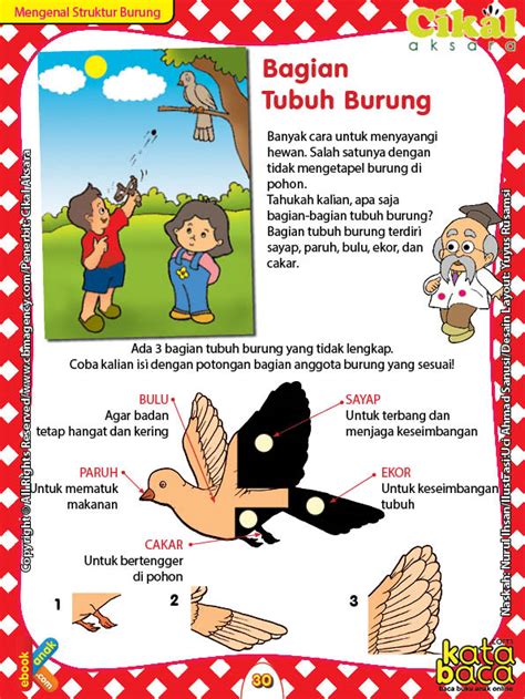 Practice writing words that begin with the letter b. Worksheet PAUD TK A-B Mengenal Bagian Tubuh Burung | Ebook ...