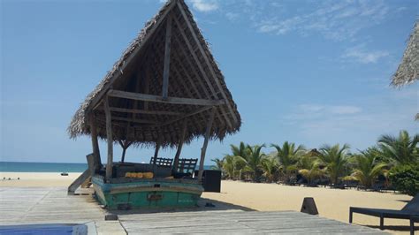 As we open our doors to the world once again; Maalu Maalu Resort & Spa | Resort spa, Capsule hotel, Hotel reviews