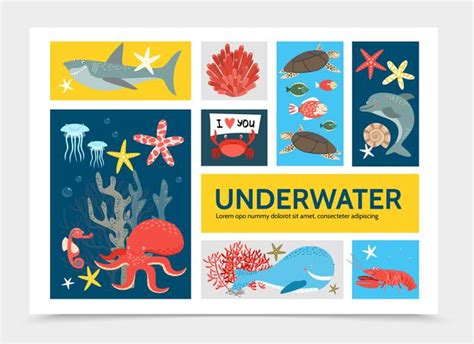 Free Vector Flat Underwater World Infographic Concept With Fish Shark
