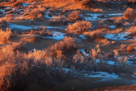 Saryesik Atyrau Desert To The South Of Lake Balkhash · Kazakhstan