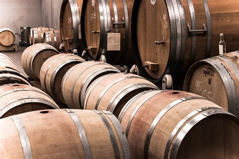 Visit To Winery With Wine Tasting Eurostars Porto Centro