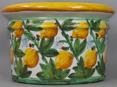 Compare prices & read reviews. ITALIAN GLAZED CERAMIC LEMON TREE POT