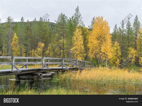 Mountains Forests Image And Photo Free Trial Bigstock