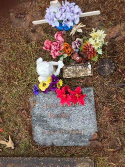 Jesse garon presley, however, was born stillborn, meaning elvis grew. Jesse Garon Presley (1935-1935) - Find A Grave Memorial