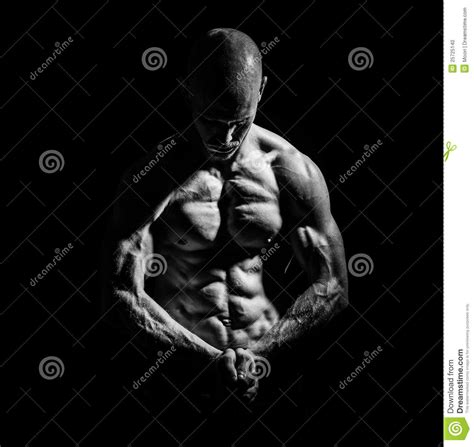 Muscle Mass Stock Photo Image Of Body Chest Adult 25725140