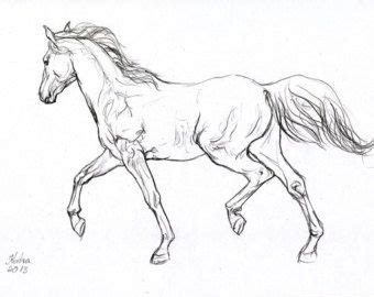 Now you know how to draw a horse step by step! framed drawings of horses - Google Search | Horse drawings ...