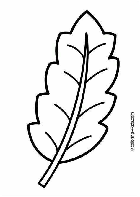Branches For Coloring - ClipArt Best