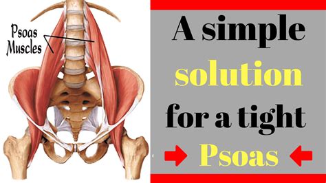 How To Release A Tight Psoas Lliopsoas A Simple Solution For A Complex Muscle Fitness 4