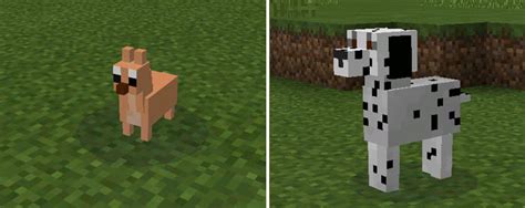 Doggy Mod Minecraft Pe Mods And Addons