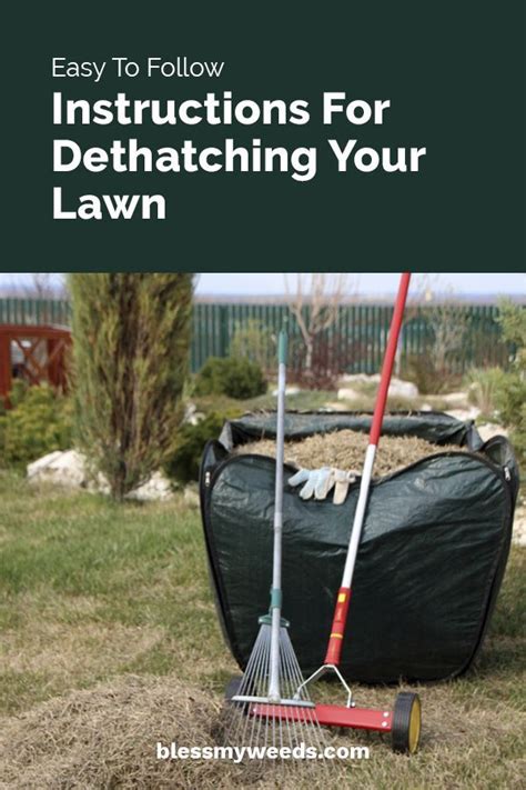 Dethatching is necessary when the thatch layer is about 1 inch thick, and it's recommended that you remove thatch at least once a year. Easy To Follow Instructions For Dethatching Your Lawn | Fall lawn care, Lawn care tips, Organic ...