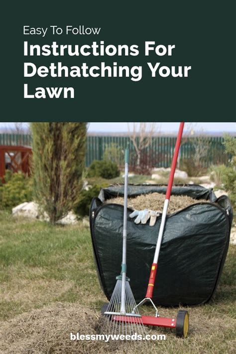 This guide covers using a dethatching rake and power rake. Easy To Follow Instructions For Dethatching Your Lawn | Fall lawn care, Lawn care tips, Organic ...