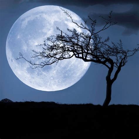 According to the website people.com, the pink moon will be visible in the sky at the end of april. Full Moon 2019: When is the April Full Moon? What time ...