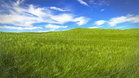 Green Field During Day Time Hd Wallpaper Wallpaper Flare
