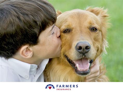 From insurance to play dates and everything in between, an app that makes pet parenting a breeze. Farmers introduces Pet Insurance! | Pet care printables ...
