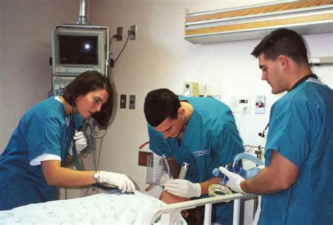 Parts of the respiratory system. Overview of Respiratory Therapy Associate Degree Programs