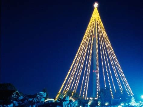 Christmas Tree Trail In San Diego California