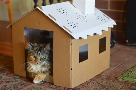 Cat Houses From Cardboard Boxes Brendas Heart Of Gold