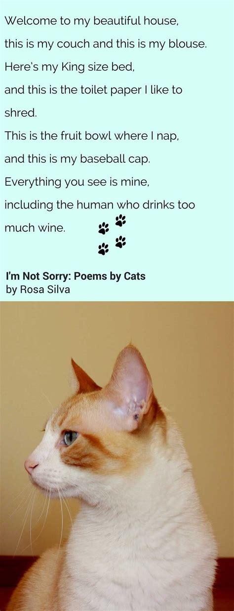 Cat Poems That Rhyme