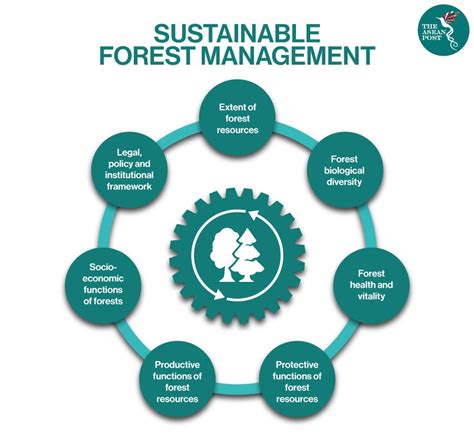 Malaysia A Leader In Sustainable Forest Management The Asean Post