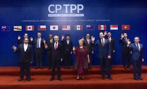 The cptpp parties are australia, brunei darussalam, canada, chile, japan, malaysia, mexico, new zealand, peru, singapore, and vietnam. CPTPP Now In Force - Its Impact on US SMEs and Supply Chains - TRADEMOVES LLC