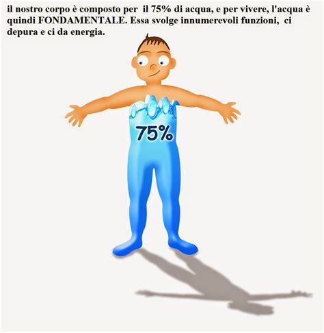 Il corpo umano è composto dal 60 al 75 percento da acqua. Aurora Floreale: settembre 2014
