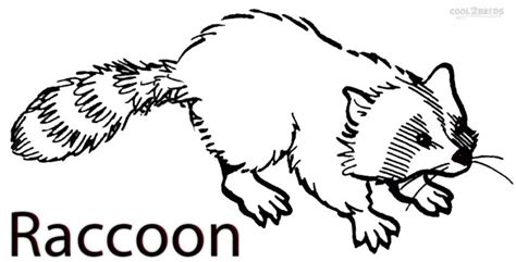 Click on a small picture below to see the big picture. 20+ Free Printable Raccoon Coloring Pages ...